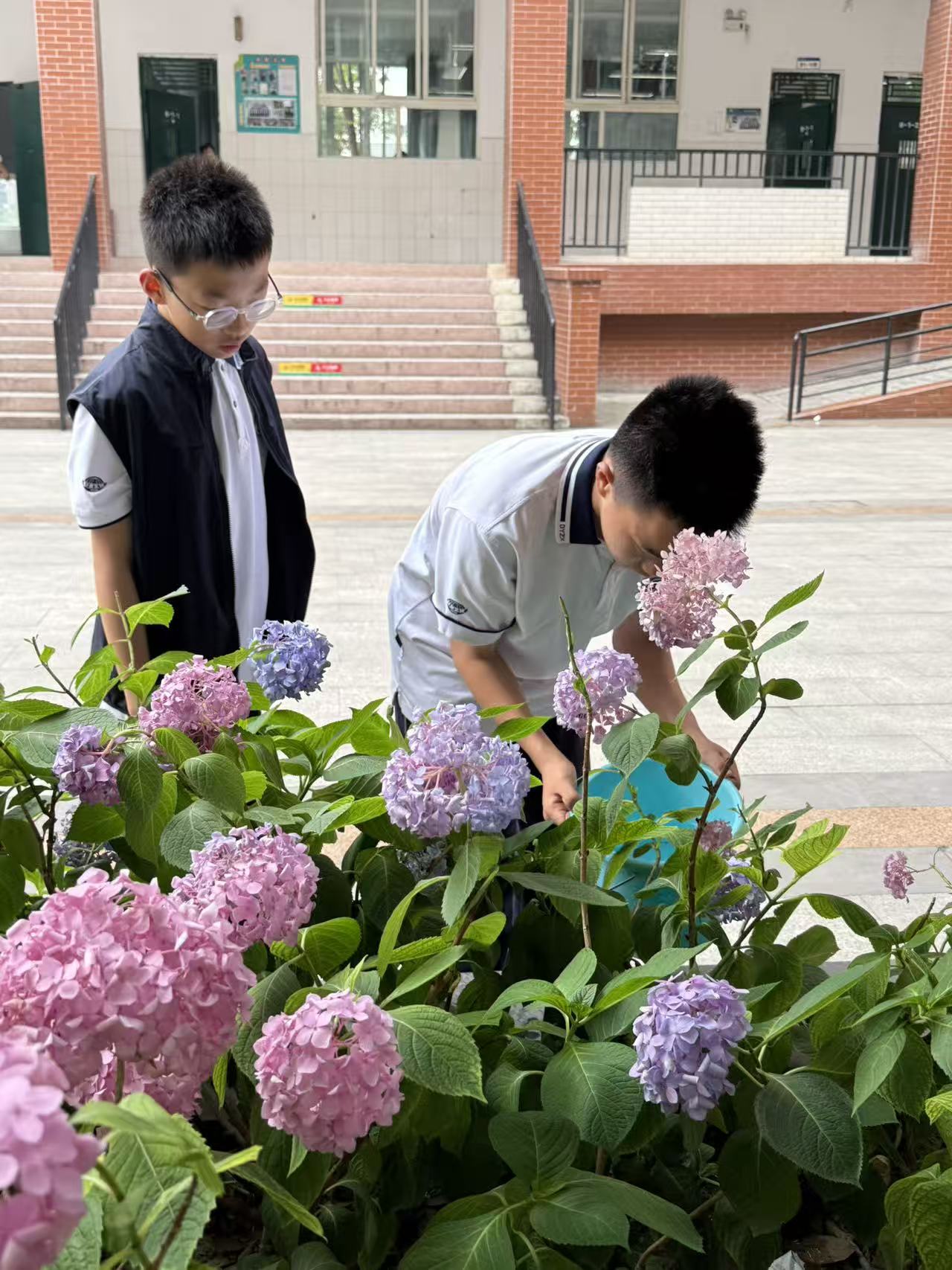 浇花